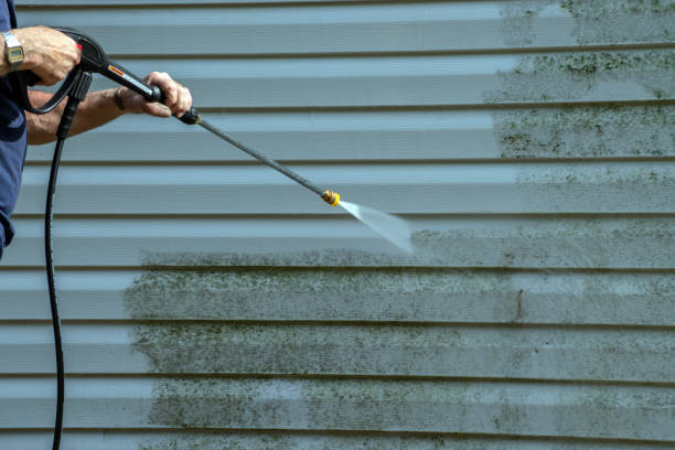 Best Gutter Cleaning  in Springtown, TX
